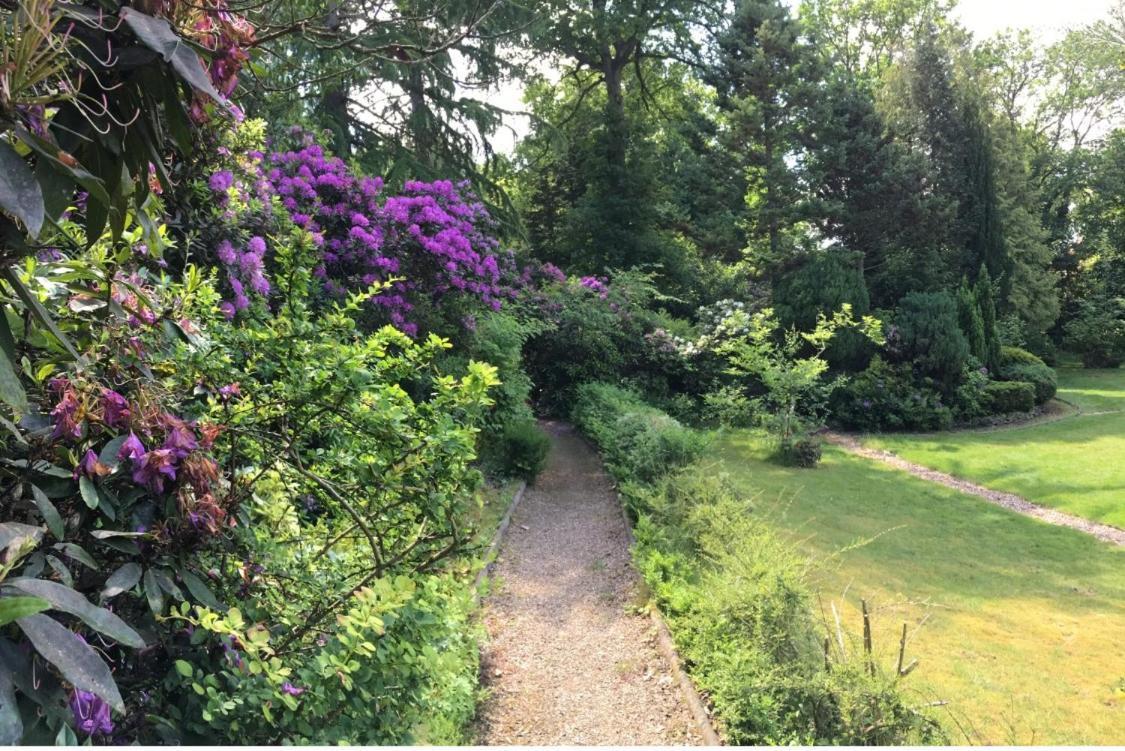 Coach House Villa Woking Buitenkant foto